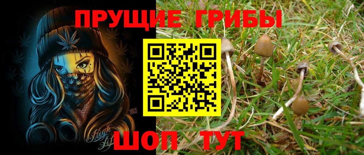 Псилоцибиновые грибы GOLDEN TEACHER Первоуральск